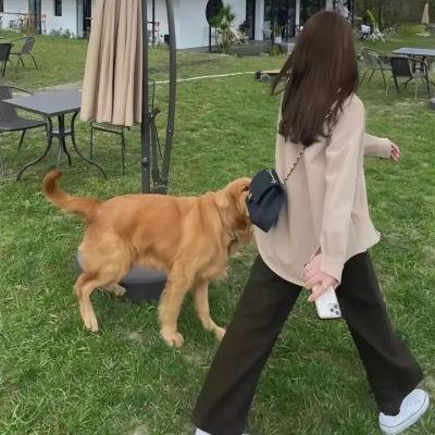旅馆闹鬼